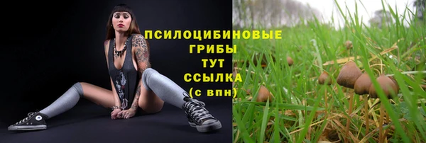 гидропоника Наволоки