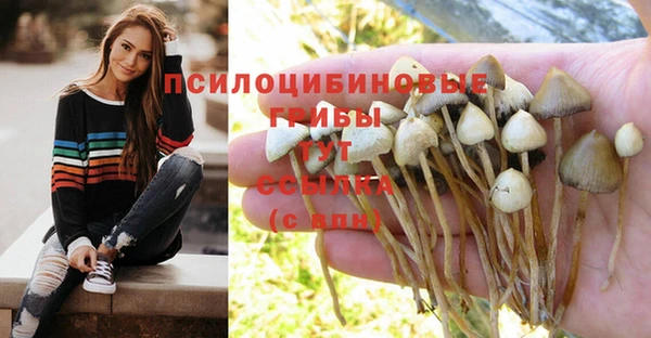гидропоника Наволоки