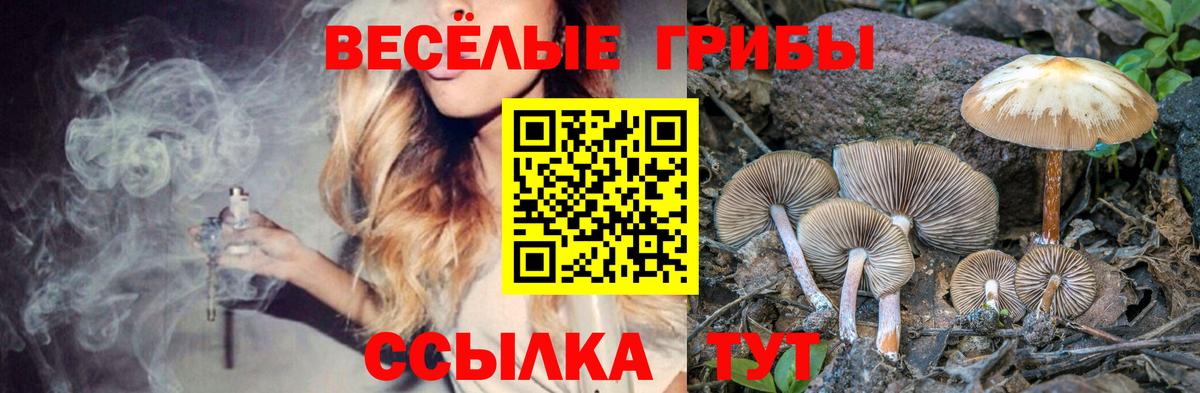 МЕТАДОН Клинцы